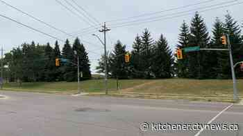 Kitchener man found lying in road with stab wounds - CTV News Kitchener