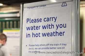 UK weather extreme heat warning: how to look after pets and babies in a heatwave
