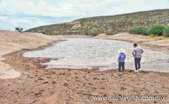 Productores de nuez cederían agua para saciar a Monterrey - El Universal
