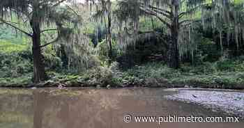 Sequía Nuevo León: Río Ramos dará agua a Monterrey y su zona metropolitana - Publimetro México