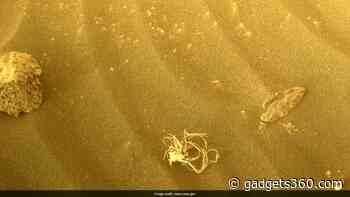 NASA's Perseverance Rover Spots Hair Ball-Like Object On Mars