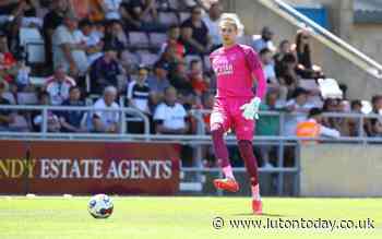 HATTERS CHATTER: Luton fans react to Nathan Jones' business in the transfer window so far - Luton Today