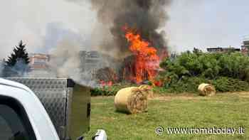 Incendio Pisana, arrestato il piromane: preso con l'accendino in mano