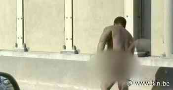 Naakte man op de Halensebaan door uit de hand gelopen weddenschap - Het Laatste Nieuws