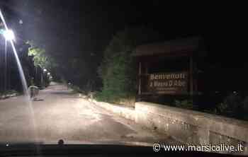 Animali incustoditi, pericolo per automobilisti: il Comune di Massa d'Albe sensibilizza gli allevatori - MarsicaLive