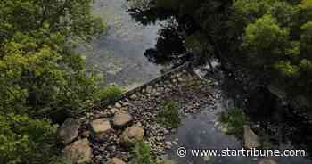 Minnesota DNR to remove dam on troubled trout stream