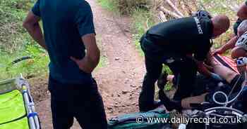 Injured mountain biker rescued after falling in Scots forest - Daily Record