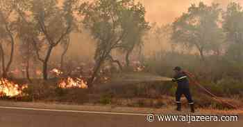 Photos: Firefighters, soldiers battle Morocco’s forest blazes - Al Jazeera English