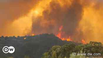 Forest fires rage in scorching southwest Europe - DW (English)