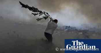 Flamingos and forest fires: Friday's best photos | News - The Guardian