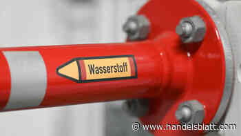 Aktie unter der Lupe: Rekordauftrag für Nel: Wasserstoff-Aktie steigt um mehr als zehn Prozent