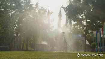 Trockenheit und Hitze: Hoher Wasserverbrauch auf Gartenschau in Eppingen - SWR Aktuell