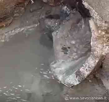 Perdita d'acqua in regione Miranda ad Albenga, consigliere Ciangherotti: "Amministrazione fa finta di niente e finge di non vedere il problema" - SavonaNews.it