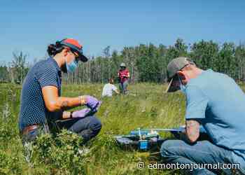 Summer internship for Indigenous science students offers hands-on training - Edmonton Journal