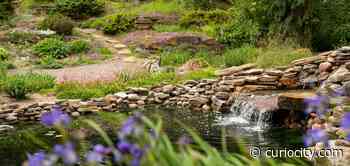 Here’s what’s open and closed in Edmonton on Canada Day this year - Curiocity