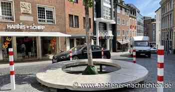 Akuter Fall von Polleritis: Warum die Stadt Aachen Bäume wegsperrt