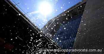 Study predicts Aust pollen high and lows - Gloucester Advocate