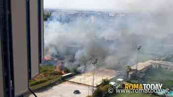 La Capitale continua a bruciare. Fiamme sfiorano campi sportivi