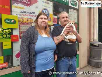 Oise-Grandvilliers : les pompiers sauvent une chatte coincée depuis trois jours - Le bonhomme picard