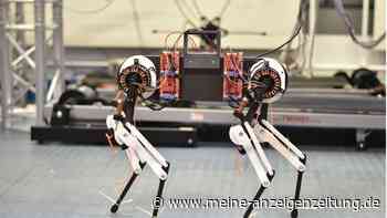 Morti - der Roboter-Hund, der selbstständig laufen lernt