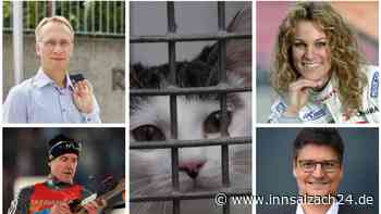 Tierheimfest 2022 in Waldkraiburg mit prominenter Unterstützung