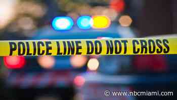 Clearwater Man Murders His Mother After Year-Long Plot: Police