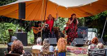 Getalenteerde muzikanten en Lalla Weiss op Gypsy Roots Festival in Westelbeers - Eindhovens Dagblad