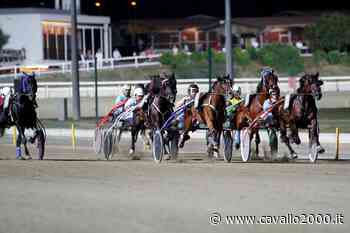 Albenga, seconda tappa del Campionato delle Stelle - Cavallo 2000