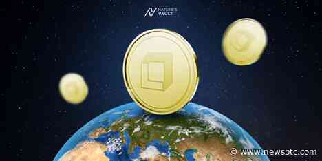 A New Asset Class of Digital Investment