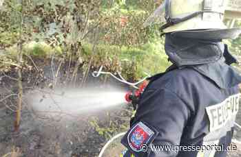 FW Celle: Waldbrand - Erstinformation