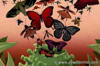 Historical plagues led to revolutions - could coronavirus do the same? - New Scientist