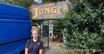 Cleethorpes' Jungle Zoo closes amid record-breaking heatwave forecast - Grimsby Live