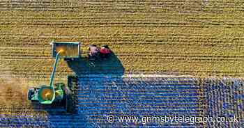 Farming continues to have worst safety record in UK - Grimsby Live