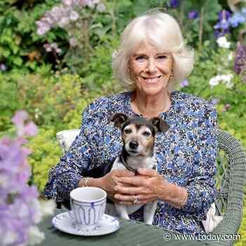 Camilla is 75! Kensington Palace shares new portraits of the duchess to celebrate her big day