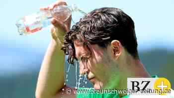 Reichen Winds Stärken für die Startelf des VfL Wolfsburg?