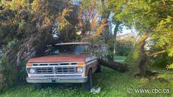 Sask. towns still recovering from devastating weekend weather