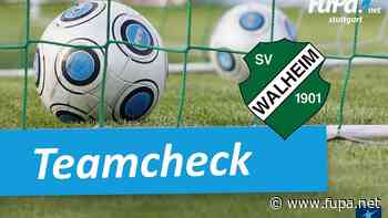 FuPa-Teamcheck: SV Walheim - FuPa - FuPa