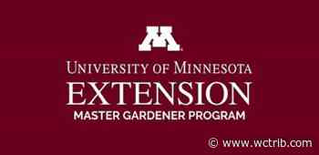 Master Gardener Sue Morris: Fertilizer, tomatoes, garlic scapes and more - West Central Tribune