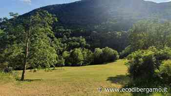 Cade in deltaplano a Nembro: ferito turista 49enne - L'Eco di Bergamo