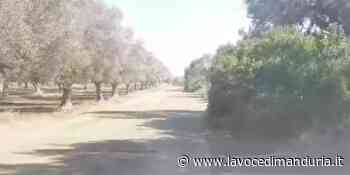 “Strada pericolosa con troppi morti”, la denuncia su Facebook di un cittadino - La Voce di Manduria