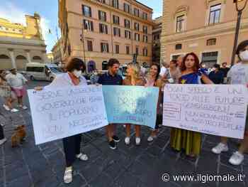 I sit-in per Draghi: "In piazza per la competenza"