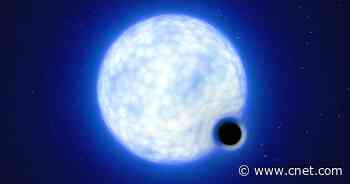 'Black Hole Destroyers' Discover a Strange, Dormant Black Hole Lurking in Deep Space     - CNET