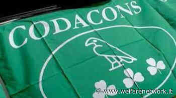 Codacons CREMONA: TIK TOK, ALTOLA' GARANTE PRIVACY SU PUBBLICITA' PERSONALE - WelfareNetwork