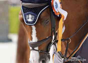 Pieter Van den Bergh scoort hoofdrubriek in Wuustwezel - Equnews