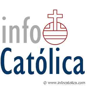 Las minas de cobalto del Congo respaldadas por China explotan a 40.000 niños trabajadores - InfoCatólica