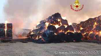 Un incendio divora 700 rotoballe di erba medica - il Resto del Carlino