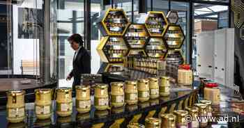 Culinaire ramp: waar halen de Fransen hun geliefde mosterd? - AD.nl