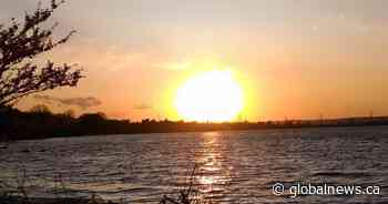 Heat warning issued for Hamilton, Niagara Region with humidex in the upper 30s expected