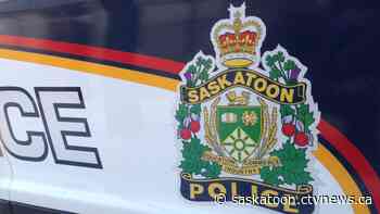 Saskatoon police investigate after human remains found in Hyde Park