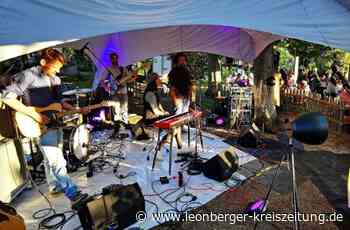 Leonberg/Weil der Stadt: Wenn Klagen das Kulturleben lähmen - Leonberger Kreiszeitung - Leonberger Kreiszeitung